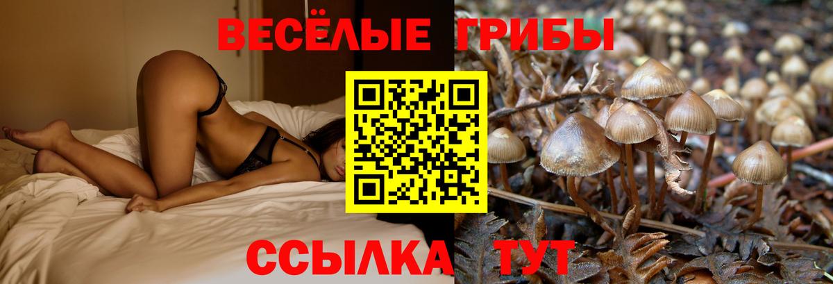 Галлюциногенные грибы GOLDEN TEACHER  Галлюциногенные грибы мухоморы  Вход с VPN  Верхняя Салда 
